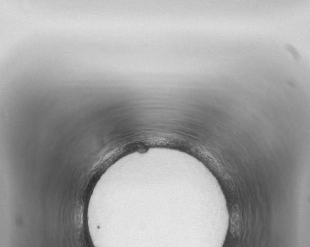 X0000115420454200912011249