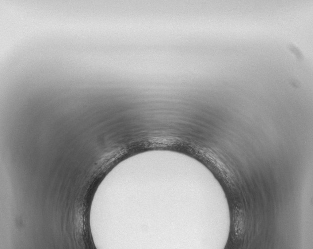 X0000115420455200912011249