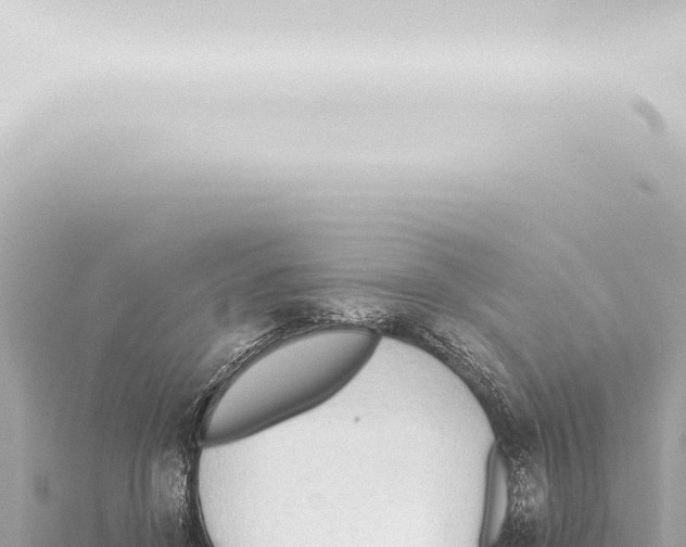 X0000115420456200912011249