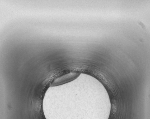 X0000115420458200912011249