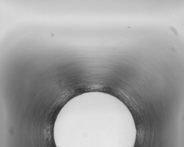 X0000115420462200912011249