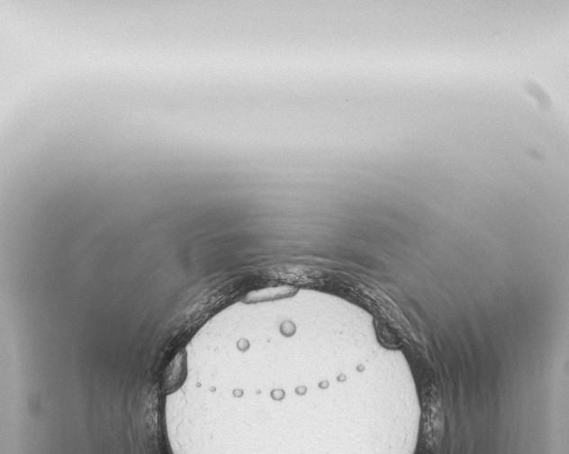 X0000115420466200912011249