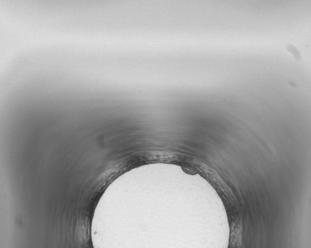 X0000115420474200912011250