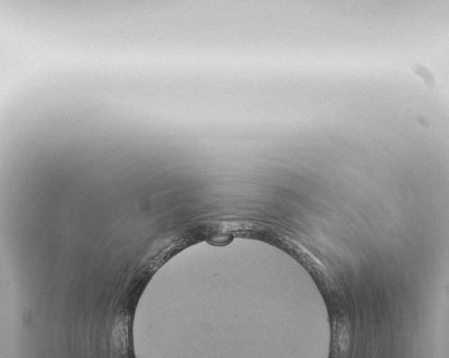 X0000115420475200912011250