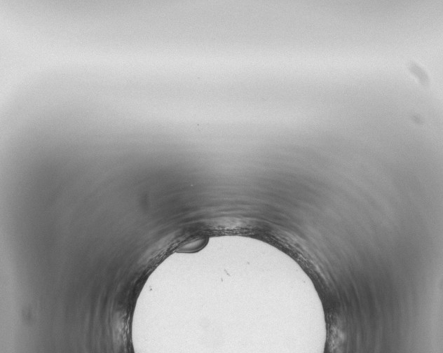 X0000115420476200912011250