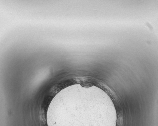 X0000115420477200912011250