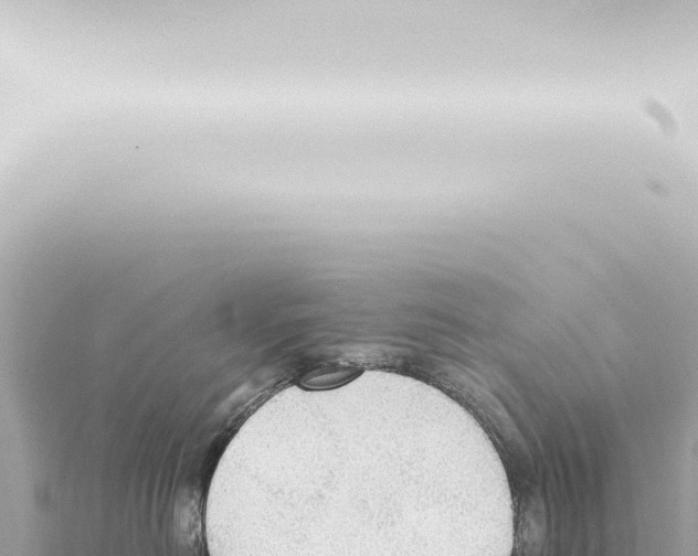 X0000115420478200912011250