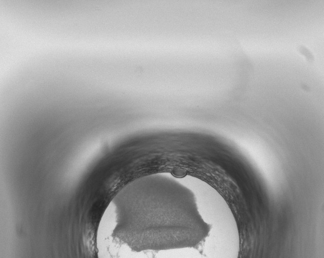 X0000115420479200912011250