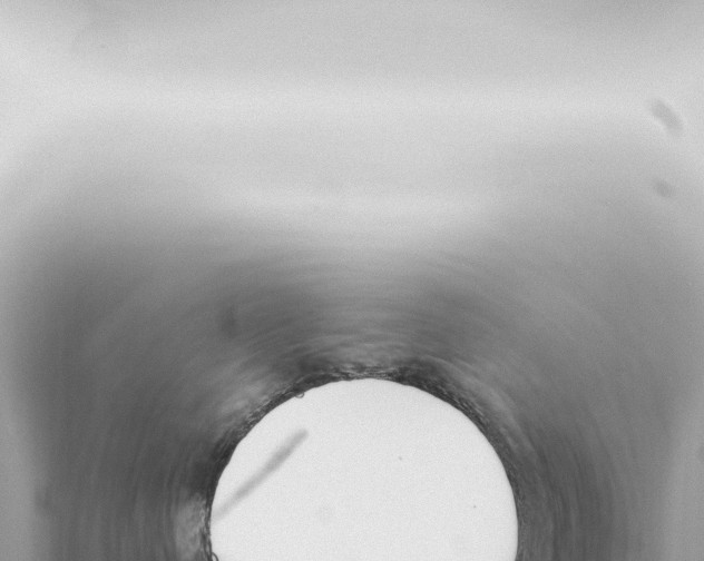 X0000115420480200912011250