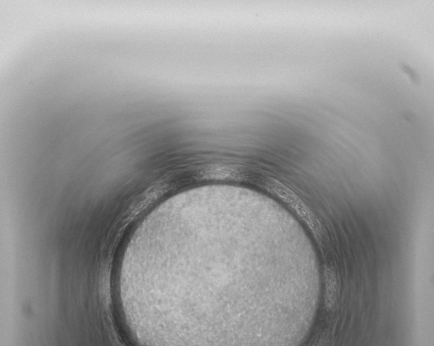 X0000115420482200912011249