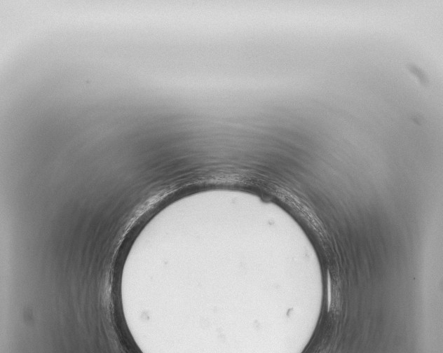 X0000115420483200912011249