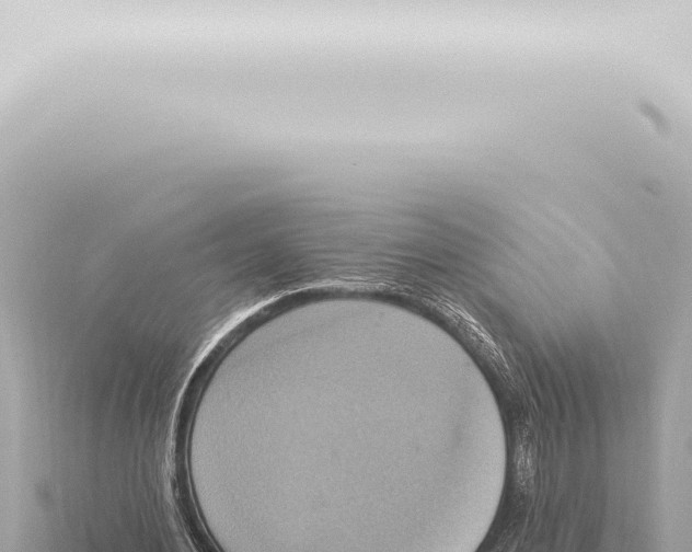 X0000115420484200912011249