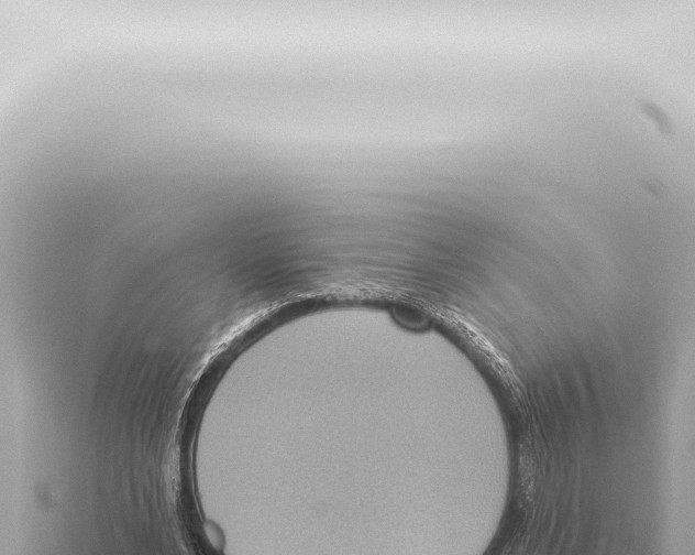 X0000115420488200912011249