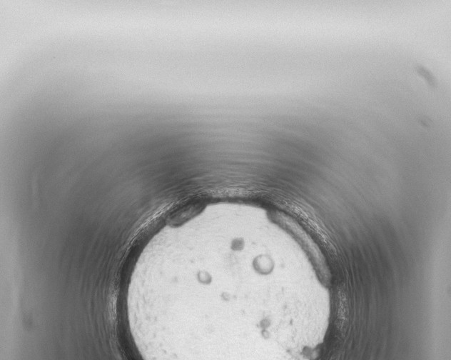 X0000115420491200912011249