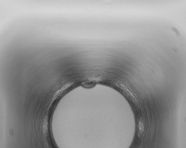 X0000115420492200912011249