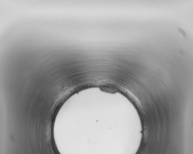 X0000115420493200912011249