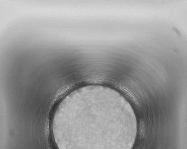 X0000115420494200912011249