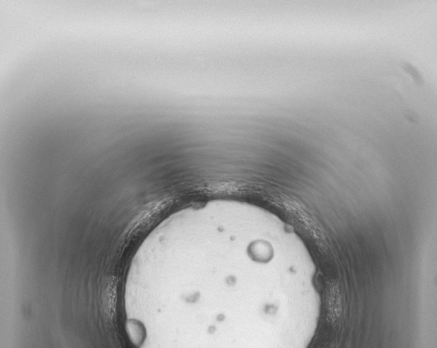 X0000115420495200912011249