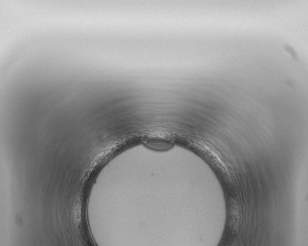 X0000115420496200912011249