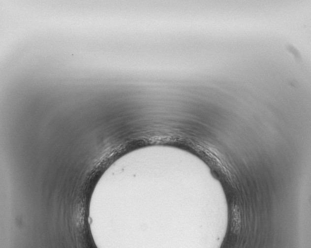 X0000115420499200912011249