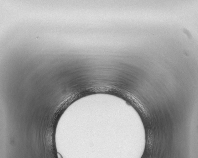 X0000115420501200912011249