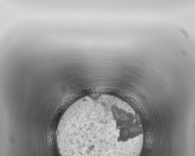 X0000115420503200912011249