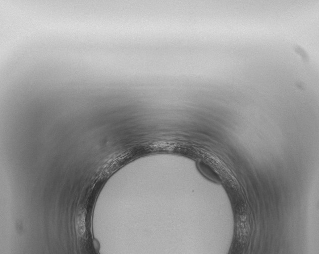 X0000115420504200912011249