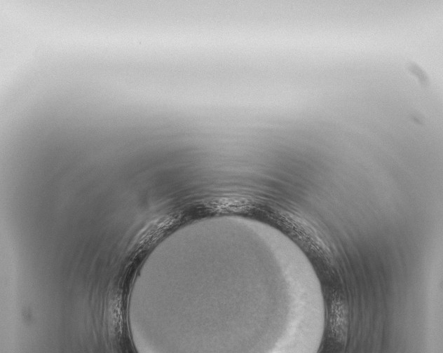 X0000115420506200912011249