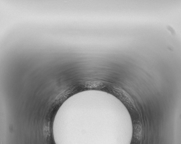 X0000115420510200912011249