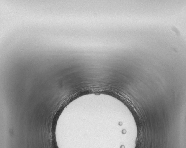 X0000115420512200912011248