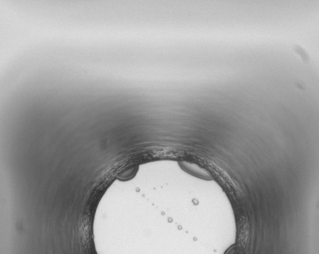 X0000115420513200912011248