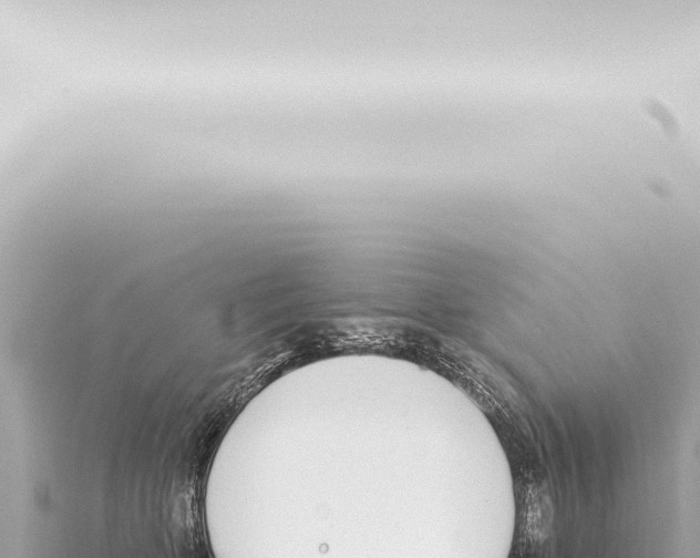 X0000115420514200912011248