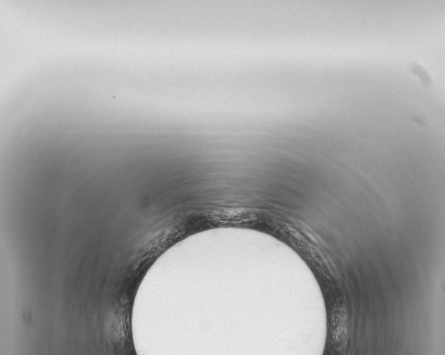 X0000115420515200912011248