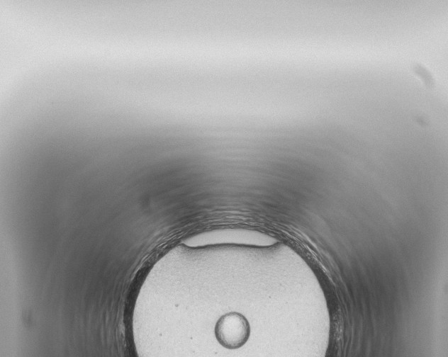 X0000115420516200912011248