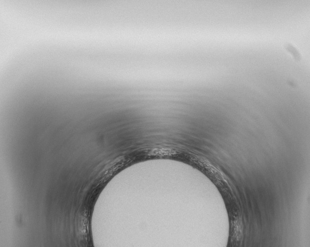 X0000115420517200912011248