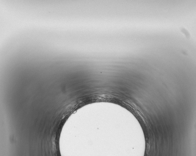 X0000115420520200912011248