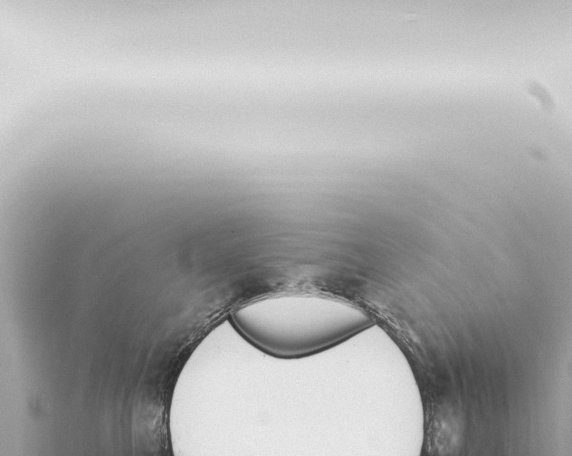 X0000115420521200912011248