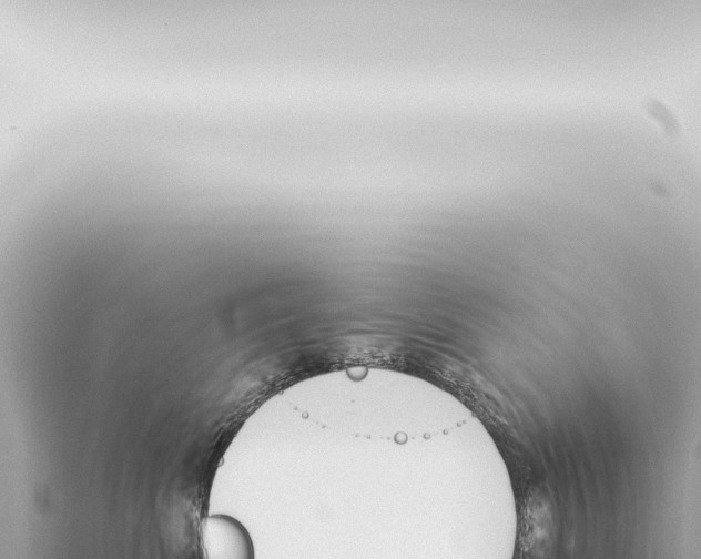 X0000115420522200912011248