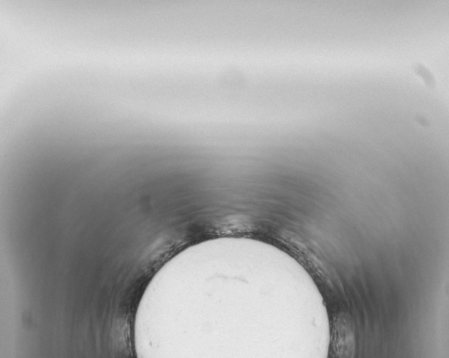 X0000115420523200912011248