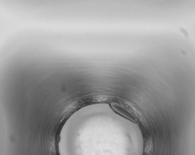 X0000115420524200912011248