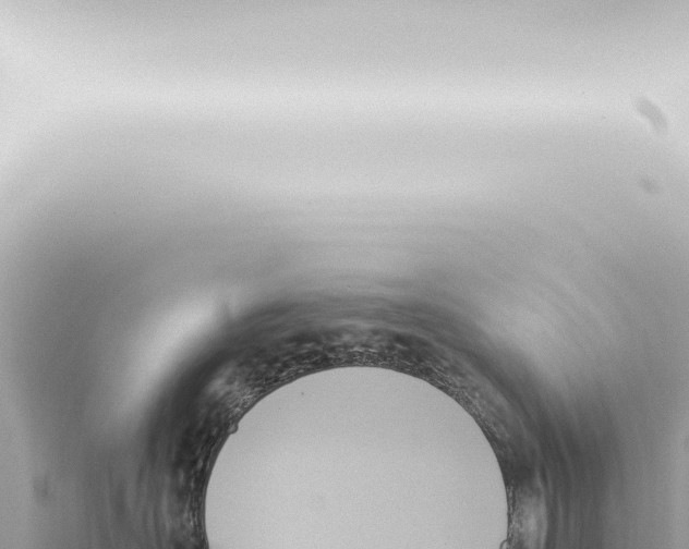 X0000115420526200912011248