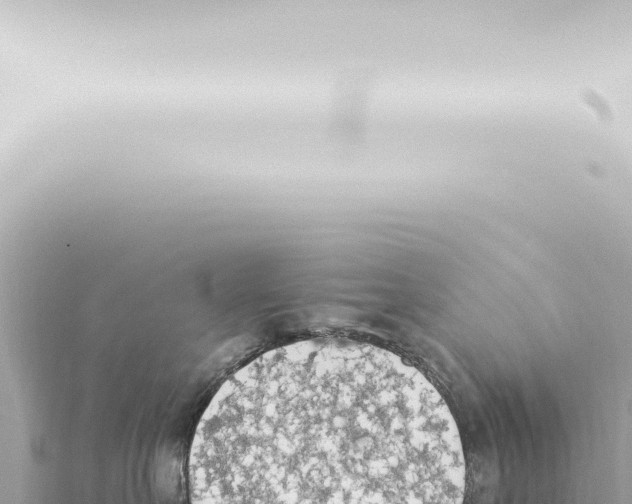 X0000115420527200912011248