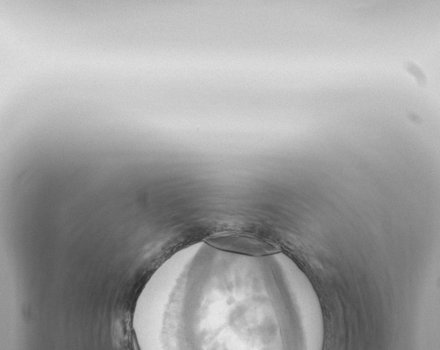 X0000115420528200912011248