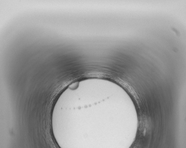 X0000115420529200912011248