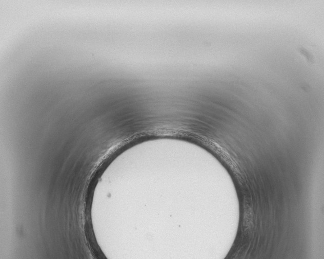 X0000115420530200912011248