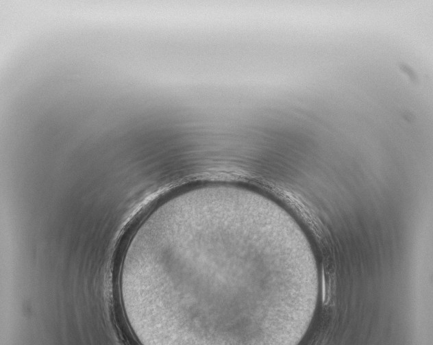 X0000115420531200912011248