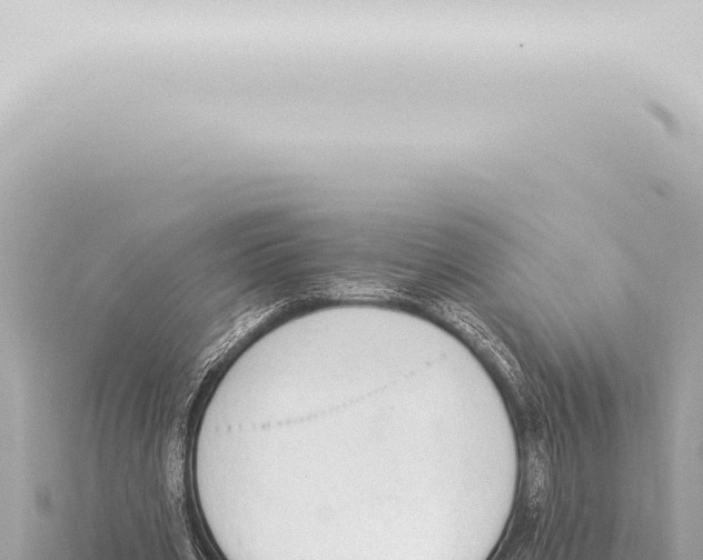 X0000115420533200912011248