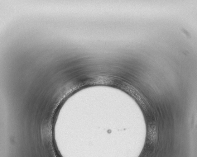 X0000115420534200912011248