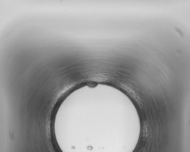 X0000115420535200912011248