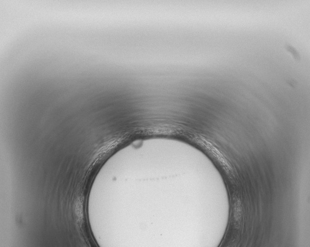 X0000115420537200912011248